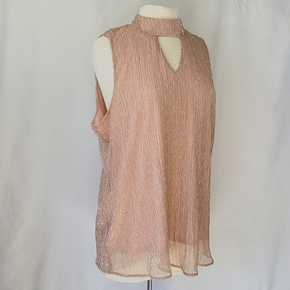 Adiva Sleeveless Sheer Shimmer Blouse Blush Champagne Size XL